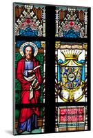 Prague, St. Vitus Cathedral, Stained Glass Window, St Bartholomew, Count Von Waldstein Coat of Arms-Samuel Magal-Mounted Photographic Print