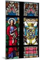 Prague, St. Vitus Cathedral, Stained Glass Window, St Bartholomew, Count Von Waldstein Coat of Arms-Samuel Magal-Mounted Photographic Print