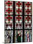 Prague, St. Vitus Cathedral, Stained Glass Window, St Gisela, St Paul, St Rudolph-Samuel Magal-Mounted Photographic Print