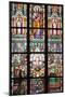 Prague, St. Vitus Cathedral, Stained Glass Window, St Thomas, St Anthony Kneeling before Baby Jesus-Samuel Magal-Mounted Premium Photographic Print