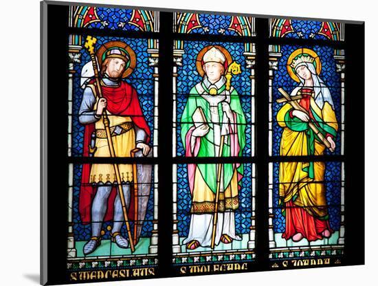 Prague, St. Vitus Cathedral, Stained Glass Window, St. Wenceslaus, St Wolfgang, St Joanna-Samuel Magal-Mounted Photographic Print