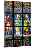 Prague, St. Vitus Cathedral, Stained Glass Window, St. Wenceslaus, St Wolfgang, St Joanna-Samuel Magal-Mounted Photographic Print