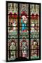 Prague, St. Vitus Cathedral, Stained Glass Window, Virgin Mary Holding Baby Jesus.-Samuel Magal-Mounted Photographic Print