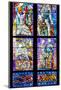 Prague, St. Vitus Cathedral, Thunov Chapel, Stained Glass Window, Psalm 126:5, Central Section-Samuel Magal-Mounted Photographic Print