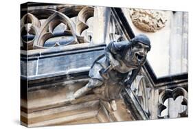 Prague, St. Vitus Cathedral, Western Facade, Smith Gargoyle Waterspout-Samuel Magal-Stretched Canvas