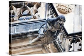 Prague, St. Vitus Cathedral, Western Facade, Smith Gargoyle Waterspout-Samuel Magal-Stretched Canvas