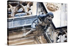 Prague, St. Vitus Cathedral, Western Facade, Smith Gargoyle Waterspout-Samuel Magal-Stretched Canvas