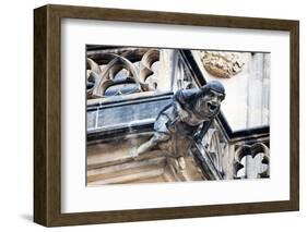 Prague, St. Vitus Cathedral, Western Facade, Smith Gargoyle Waterspout-Samuel Magal-Framed Photographic Print