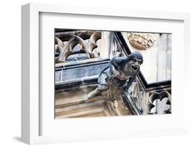 Prague, St. Vitus Cathedral, Western Facade, Smith Gargoyle Waterspout-Samuel Magal-Framed Photographic Print