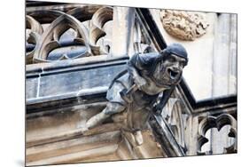 Prague, St. Vitus Cathedral, Western Facade, Smith Gargoyle Waterspout-Samuel Magal-Mounted Photographic Print