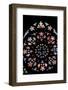 Prague, St. Vitus Cathedral, Western Frontispiece, Rose Window, Creation of the World-Samuel Magal-Framed Photographic Print