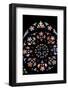 Prague, St. Vitus Cathedral, Western Frontispiece, Rose Window, Creation of the World-Samuel Magal-Framed Photographic Print