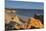 Praia da Rocha beach, Atlantic Ocean, Portimao, Algarve, Portugal, Europe-Markus Lange-Mounted Photographic Print