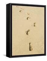 Praia De Santa Monica (Santa Monica Beach), Boa Vista, Cape Verde Islands, Atlantic, Africa-R H Productions-Framed Stretched Canvas