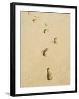 Praia De Santa Monica (Santa Monica Beach), Boa Vista, Cape Verde Islands, Atlantic, Africa-R H Productions-Framed Photographic Print