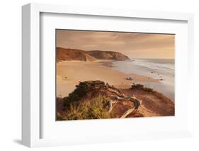 Praia do Amado beach at sunset, Carrapateira, Costa Vicentina, west coast, Algarve, Portugal, Europ-Markus Lange-Framed Photographic Print