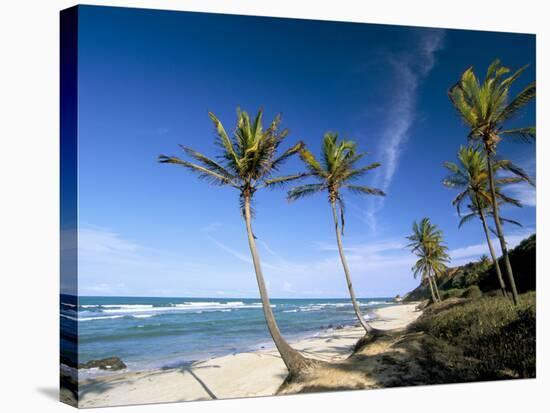 Praia Do Amor, Pipa (Natal), Rio Grande Do Norte State, Brazil, South America-Sergio Pitamitz-Stretched Canvas