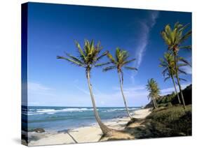 Praia Do Amor, Pipa (Natal), Rio Grande Do Norte State, Brazil, South America-Sergio Pitamitz-Stretched Canvas