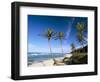 Praia Do Amor, Pipa (Natal), Rio Grande Do Norte State, Brazil, South America-Sergio Pitamitz-Framed Photographic Print