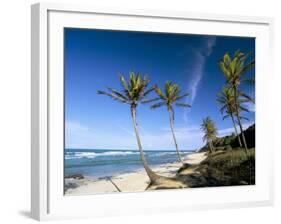 Praia Do Amor, Pipa (Natal), Rio Grande Do Norte State, Brazil, South America-Sergio Pitamitz-Framed Photographic Print