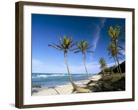 Praia Do Amor, Pipa (Natal), Rio Grande Do Norte State, Brazil, South America-Sergio Pitamitz-Framed Photographic Print