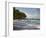 Praia Do Carneiros Near Tamamdere, North-Eastern Brazil-Alex Saberi-Framed Photographic Print