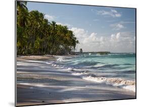 Praia Do Carneiros Near Tamamdere, North-Eastern Brazil-Alex Saberi-Mounted Photographic Print