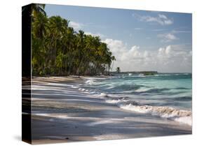 Praia Do Carneiros Near Tamamdere, North-Eastern Brazil-Alex Saberi-Stretched Canvas