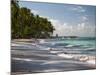 Praia Do Carneiros Near Tamamdere, North-Eastern Brazil-Alex Saberi-Mounted Photographic Print