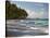 Praia Do Carneiros Near Tamamdere, North-Eastern Brazil-Alex Saberi-Stretched Canvas