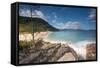 Praia Do Meio Beach in the Afternoon-Alex Saberi-Framed Stretched Canvas