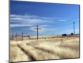 Praire Road, Saskatchewan, Canada-Walter Bibikow-Mounted Photographic Print