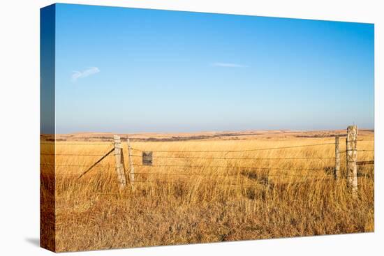 Prairie Blessing-tomofbluesprings-Stretched Canvas