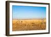 Prairie Blessing-tomofbluesprings-Framed Photographic Print