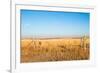 Prairie Blessing-tomofbluesprings-Framed Photographic Print