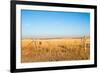 Prairie Blessing-tomofbluesprings-Framed Photographic Print