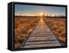 Prairie Boardwalk Sunset-Michael Shake-Framed Stretched Canvas