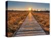 Prairie Boardwalk Sunset-Michael Shake-Stretched Canvas