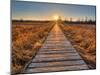 Prairie Boardwalk Sunset-Michael Shake-Mounted Photographic Print