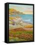 Prairie by the Sea-Angeles M Pomata-Framed Stretched Canvas
