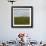 Prairie, c.2007-Jacky Lecouturier-Framed Premium Giclee Print displayed on a wall