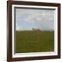 Prairie, c.2007-Jacky Lecouturier-Framed Premium Giclee Print