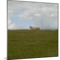 Prairie, c.2007-Jacky Lecouturier-Mounted Premium Giclee Print