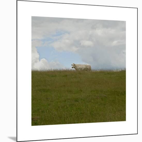 Prairie, c.2007-Jacky Lecouturier-Mounted Premium Giclee Print