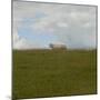 Prairie, c.2007-Jacky Lecouturier-Mounted Premium Giclee Print