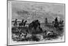 Prairie-Chichen Shooting in Kansas. Sketched by Theodore R. Davis. See First Page.-null-Mounted Giclee Print