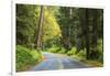 Prairie Creek area, Redwoods State Park, Coastal Redwoods, California, USA-Stuart Westmorland-Framed Photographic Print