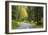 Prairie Creek area, Redwoods State Park, Coastal Redwoods, California, USA-Stuart Westmorland-Framed Photographic Print