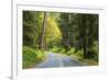 Prairie Creek area, Redwoods State Park, Coastal Redwoods, California, USA-Stuart Westmorland-Framed Premium Photographic Print