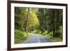 Prairie Creek area, Redwoods State Park, Coastal Redwoods, California, USA-Stuart Westmorland-Framed Premium Photographic Print